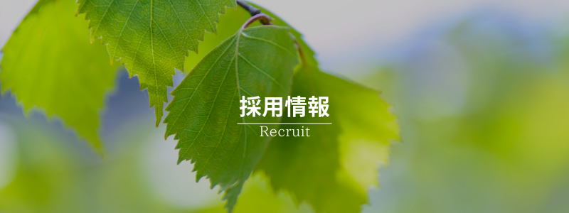 採用情報